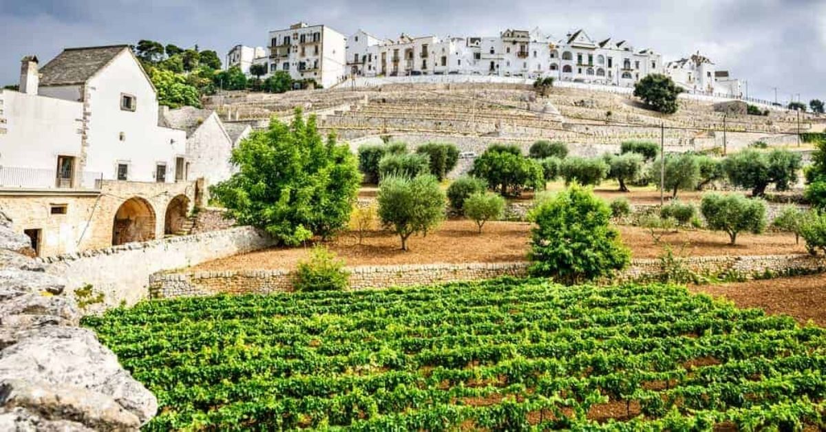 images/com_apetee/puglia_wine_region_1200x628.jpg