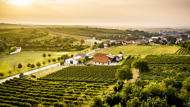 images/csm_weingut-neustifter-drohnenaufnahme_f90f31587d.jpg